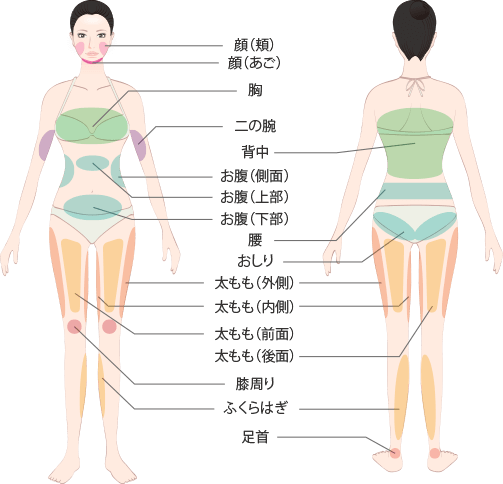 部分痩せの部位一覧