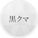 脂肪の定着量がよい