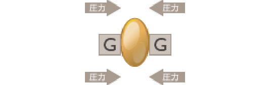 遠心分離にかけただけの場合の老いた弱い脂肪細胞イメージ