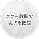 エコー診断で現状を把握