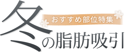 冬の脂肪吸引 おすすめ部位特集